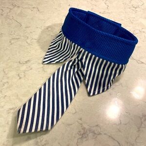 Dog Striped Blue Tie Collar